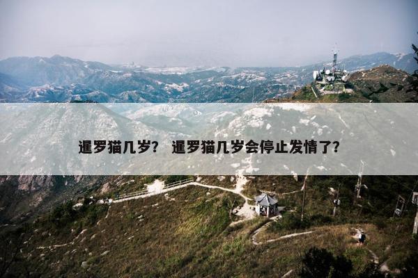 暹罗猫几岁？ 暹罗猫几岁会停止发情了？