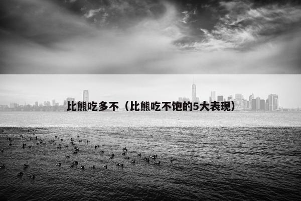比熊吃多不（比熊吃不饱的5大表现）