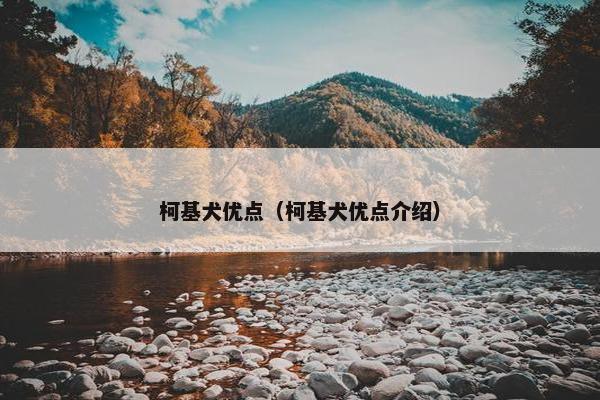 柯基犬优点（柯基犬优点介绍）