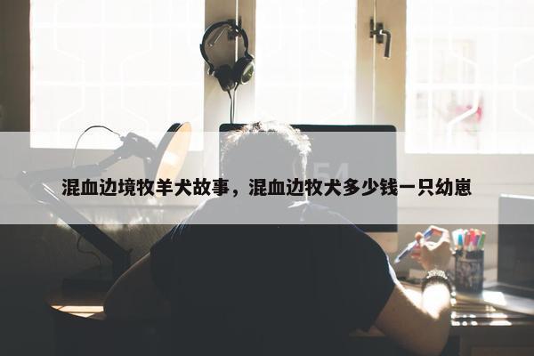 混血边境牧羊犬故事，混血边牧犬多少钱一只幼崽