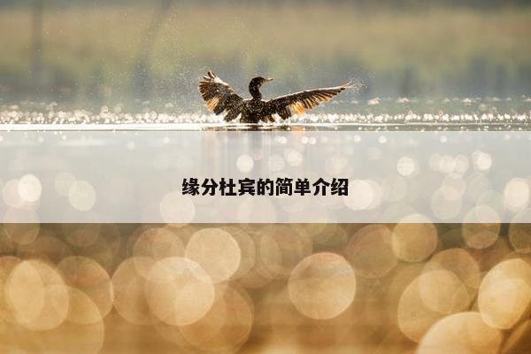 缘分杜宾的简单介绍