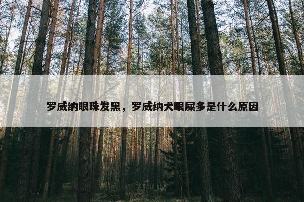 罗威纳眼珠发黑，罗威纳犬眼屎多是什么原因