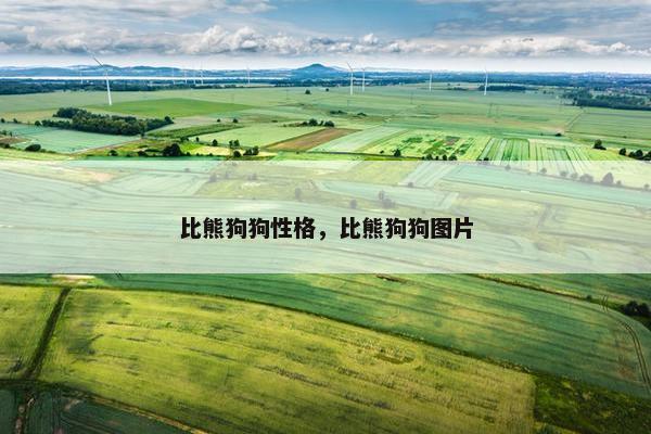 比熊狗狗性格，比熊狗狗图片