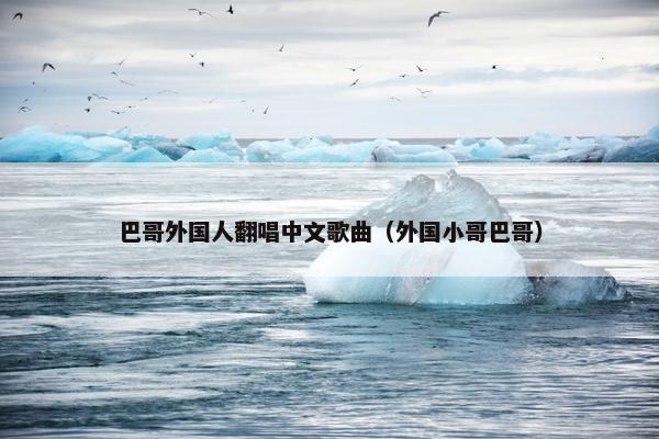 巴哥外国人翻唱中文歌曲（外国小哥巴哥）