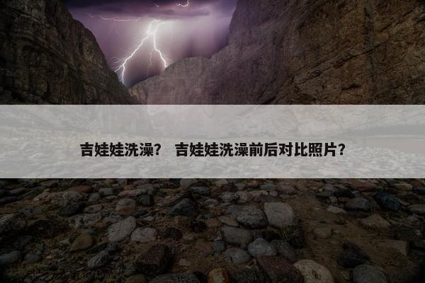吉娃娃洗澡？ 吉娃娃洗澡前后对比照片？