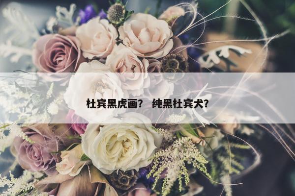 杜宾黑虎画？ 纯黑杜宾犬？