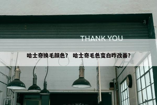 哈士奇换毛颜色？ 哈士奇毛色变白咋改善？