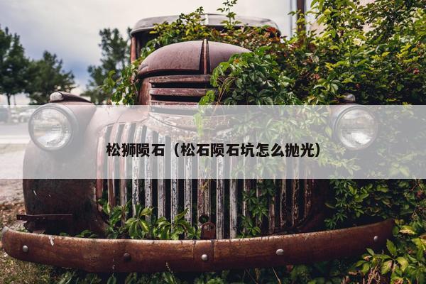 松狮陨石（松石陨石坑怎么抛光）