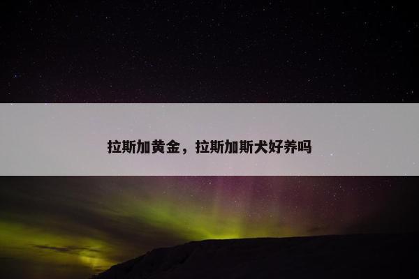 拉斯加黄金，拉斯加斯犬好养吗