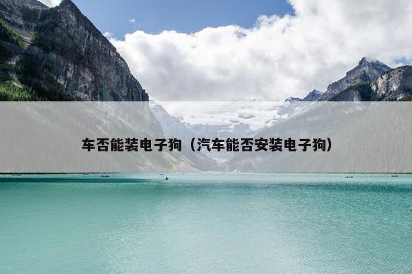 车否能装电子狗（汽车能否安装电子狗）