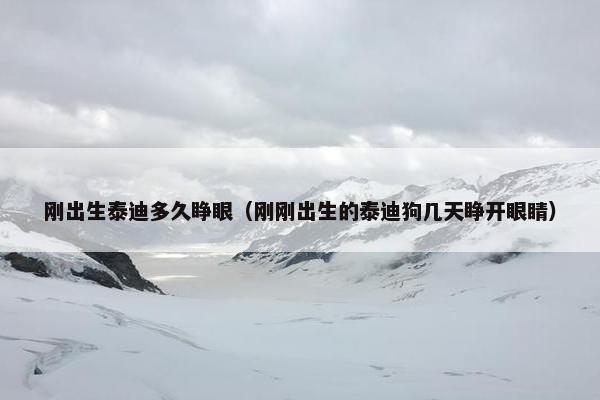 刚出生泰迪多久睁眼（刚刚出生的泰迪狗几天睁开眼睛）
