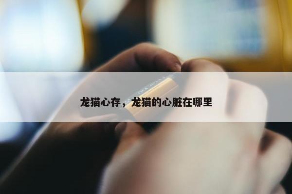 龙猫心存，龙猫的心脏在哪里