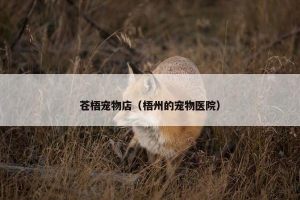 苍梧宠物店（梧州的宠物医院）
