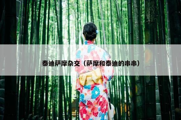 泰迪萨摩杂交（萨摩和泰迪的串串）