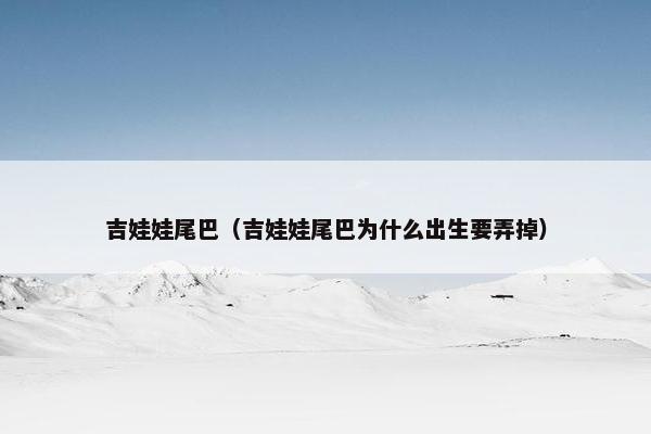 吉娃娃尾巴（吉娃娃尾巴为什么出生要弄掉）