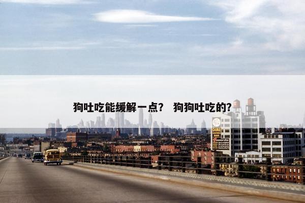 狗吐吃能缓解一点？ 狗狗吐吃的？