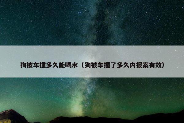 狗被车撞多久能喝水（狗被车撞了多久内报案有效）