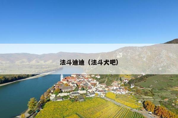 法斗迪迪（法斗犬吧）