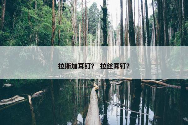 拉斯加耳钉？ 拉丝耳钉？
