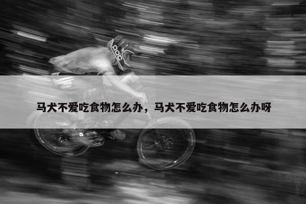 马犬不爱吃食物怎么办，马犬不爱吃食物怎么办呀