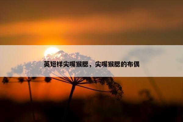 英短样尖嘴猴腮，尖嘴猴腮的布偶