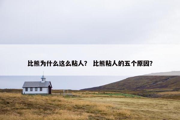 比熊为什么这么粘人？ 比熊粘人的五个原因？