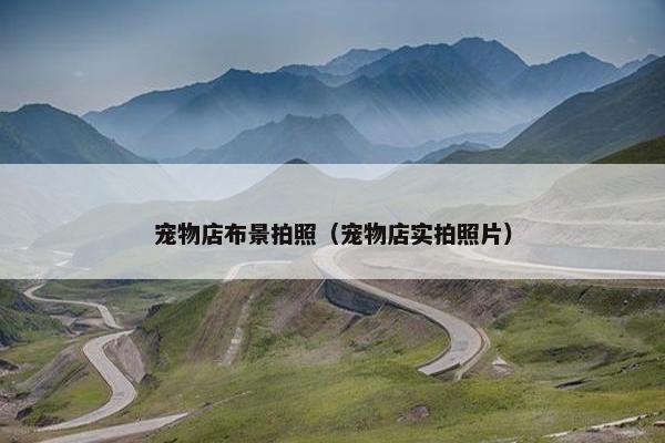 宠物店布景拍照（宠物店实拍照片）
