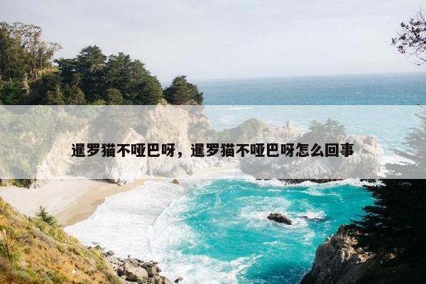 暹罗猫不哑巴呀，暹罗猫不哑巴呀怎么回事