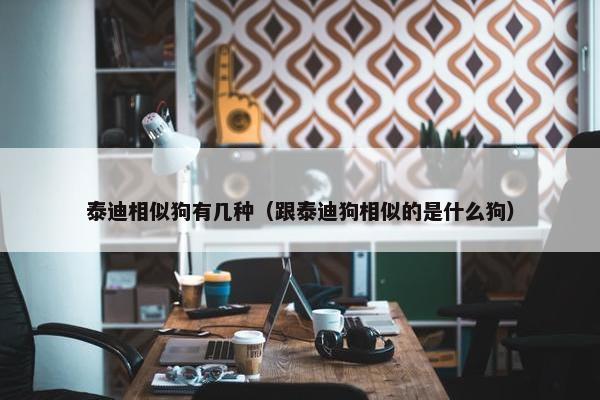 泰迪相似狗有几种（跟泰迪狗相似的是什么狗）