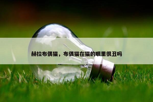 赫拉布偶猫，布偶猫在猫的眼里很丑吗