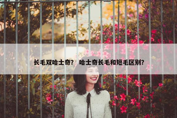 长毛双哈士奇？ 哈士奇长毛和短毛区别？