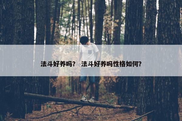 法斗好养吗？ 法斗好养吗性格如何？