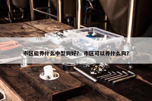 市区能养什么中型狗好？ 市区可以养什么狗？