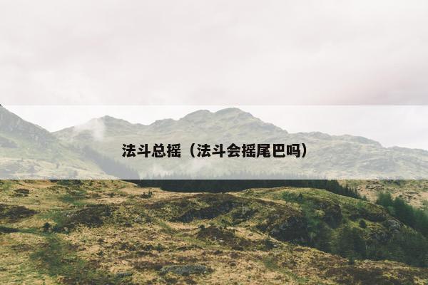 法斗总摇（法斗会摇尾巴吗）