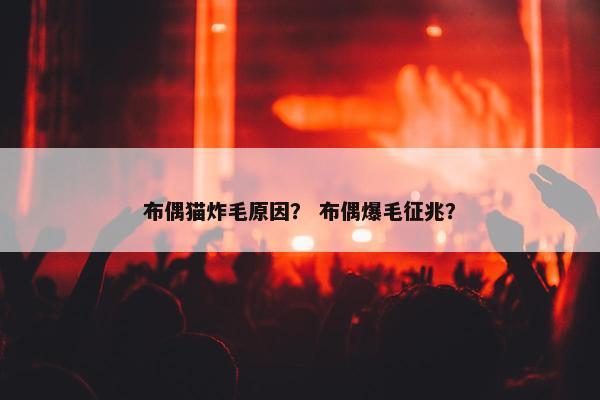 布偶猫炸毛原因？ 布偶爆毛征兆？