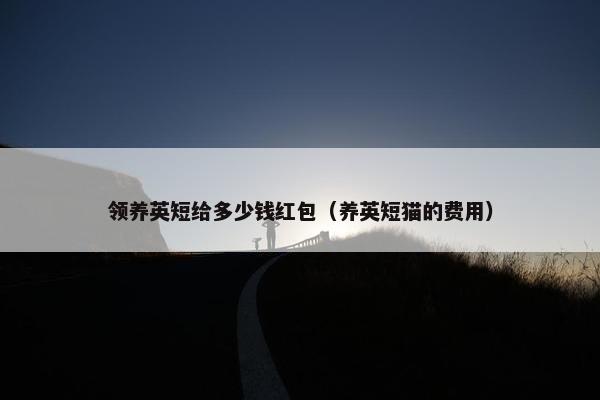 领养英短给多少钱红包（养英短猫的费用）