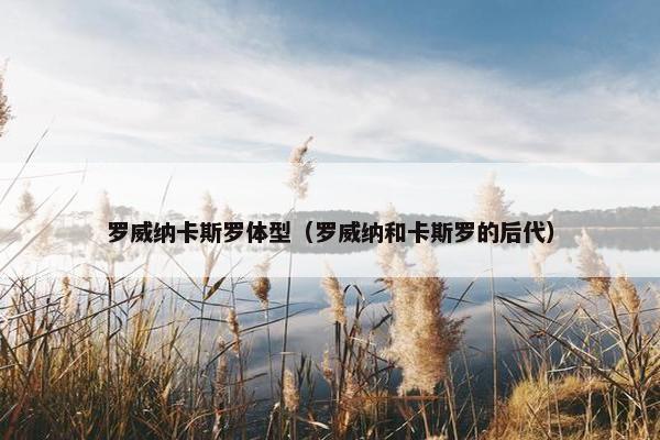 罗威纳卡斯罗体型（罗威纳和卡斯罗的后代）