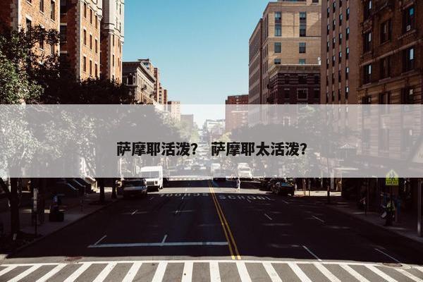萨摩耶活泼？ 萨摩耶太活泼？