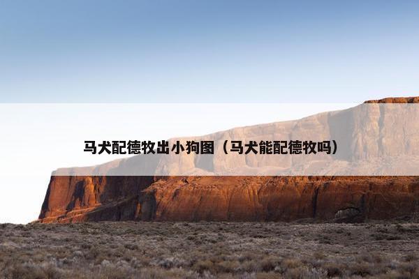 马犬配德牧出小狗图（马犬能配德牧吗）