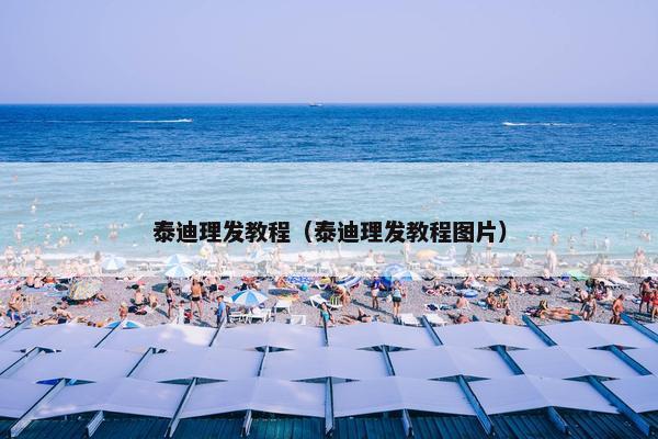 泰迪理发教程（泰迪理发教程图片）