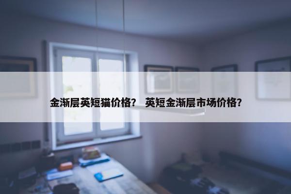金渐层英短猫价格？ 英短金渐层市场价格？