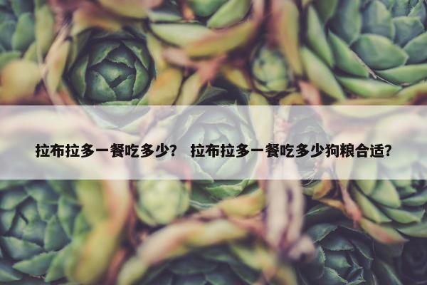 拉布拉多一餐吃多少？ 拉布拉多一餐吃多少狗粮合适？