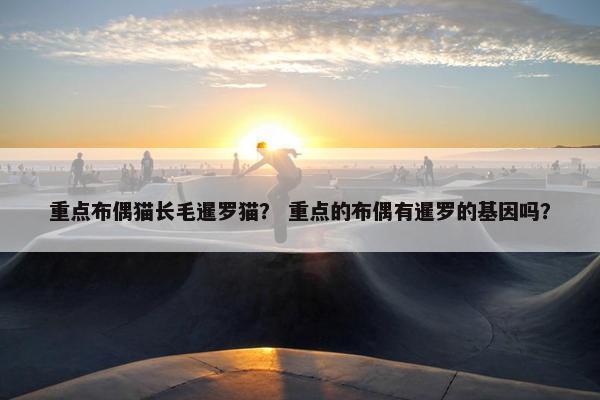 重点布偶猫长毛暹罗猫？ 重点的布偶有暹罗的基因吗？