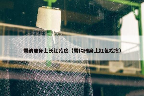 雪纳瑞身上长红疙瘩（雪纳瑞身上红色疙瘩）