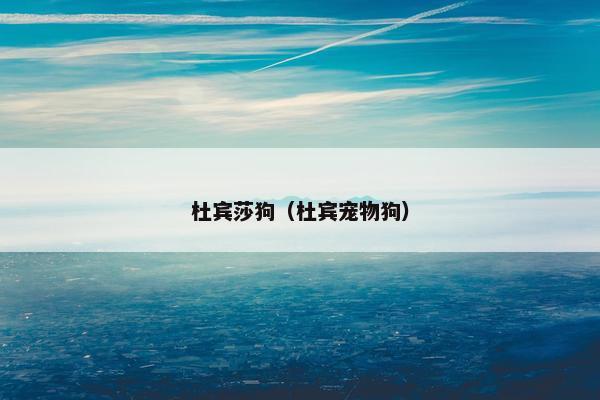杜宾莎狗（杜宾宠物狗）