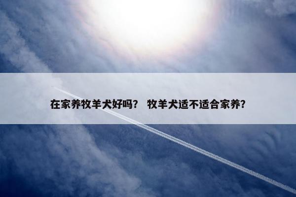 在家养牧羊犬好吗？ 牧羊犬适不适合家养？