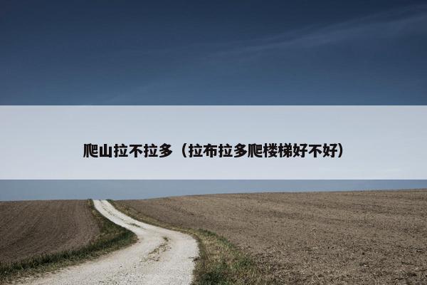 爬山拉不拉多（拉布拉多爬楼梯好不好）