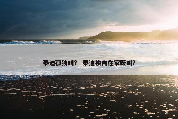 泰迪孤独叫？ 泰迪独自在家嚎叫？