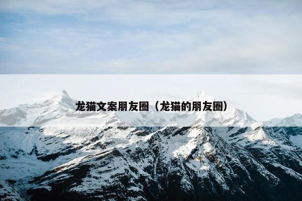 龙猫文案朋友圈（龙猫的朋友圈）