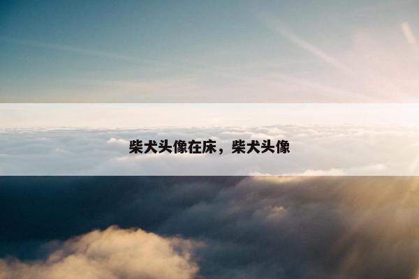 柴犬头像在床，柴犬头像